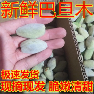 新鲜采摘巴旦木1-9带皮孕妇青皮斤当季发货新鲜巴旦木青皮核桃