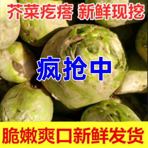 新鲜芥菜疙瘩大头菜咸菜下饭菜芥菜丝辣菜酱菜农家自种蔬菜5斤装