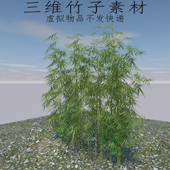 C4D竹子素材3ds植物写实fbx竹叶模型obj竹林场景