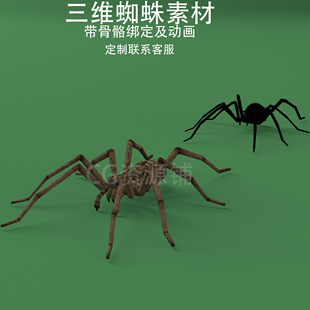 三维C4D蜘蛛素材3ds昆虫fbx骨骼绑定动画网虫obj