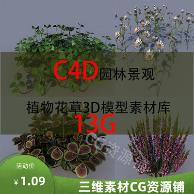 C4D园林景观植物花草3D模型素材库单体精细模型库纹理贴图渲染