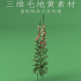 三维C4D毛地黄植物素材3ds洋地黄fbx指顶花obj吊钟花素材