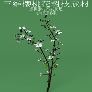 三维C4D樱桃花树枝素材3ds植物花朵车厘子fbx莺桃荆桃楔桃obj