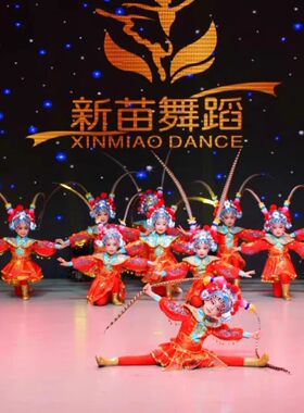 小舞蹈家沁园春雪舞蹈服儿童京剧戏曲演出服花木兰刀马旦演出服装