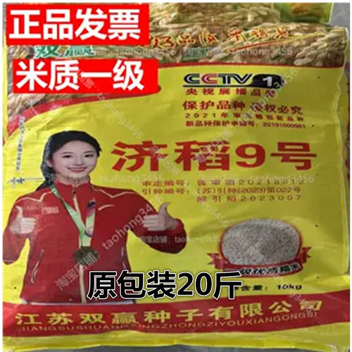 一级米质高产圆粒珍珠香糯米种子
