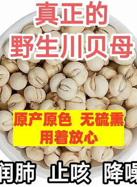 无硫 川贝母 煮水川贝枇杷 炖梨秋冬小孩润肺止咳梨茶 新货包邮