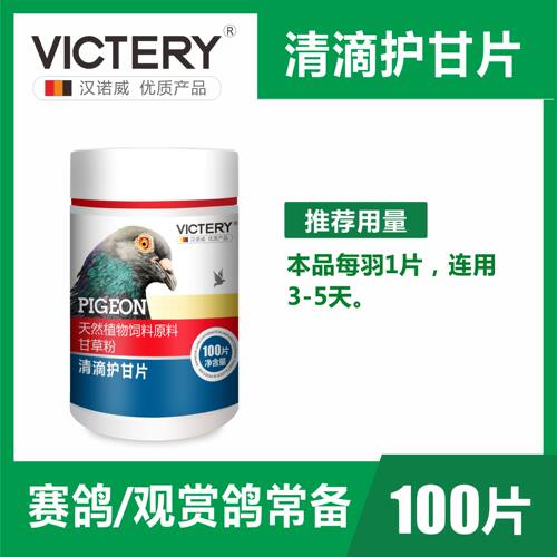 汉诺威鸽子鹦鹉毛滴虫鸽子
