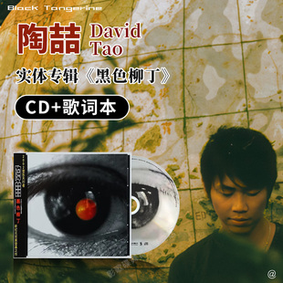 陶喆专辑 CD唱片 David 黑色柳丁 歌词本 Tao 正版
