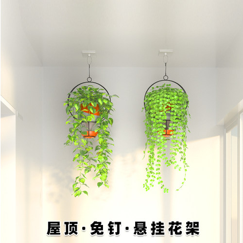 免打孔免钉悬挂花架屋顶挂钩室内阳台吊兰绿萝爬藤天花板悬挂花篮