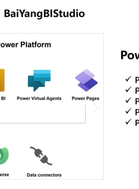 专业Power Platform技术支持|Power BI|Power Apps|PowerAutomate