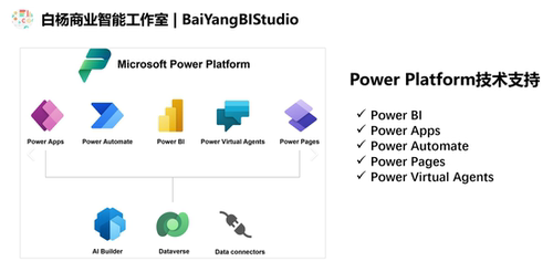 全栈Power Platform技术支持|Power BI|Power Apps|PowerAutomate