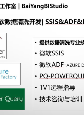 微软数据清洗专家：SSIS、ADF、Power Query 技术支持服务