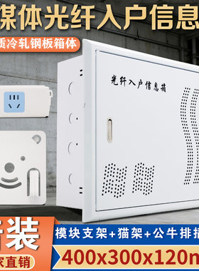 暗装全铁弱电箱400*300