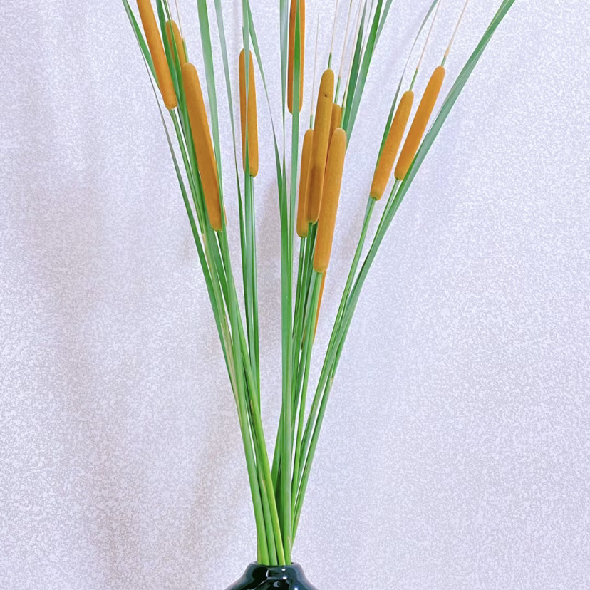 水蜡烛真花蒲苇棒网红解压同款插花装饰10支装田园风格飞绒美观