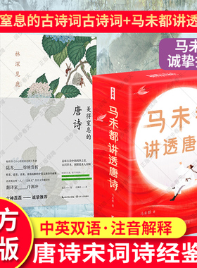 全6册马未都讲透唐诗+许渊冲古诗词书 轻松读懂唐诗 美得窒息的唐诗宋词诗经林深见鹿燕燕于飞纸短情长现当代文学散文随笔名家名作