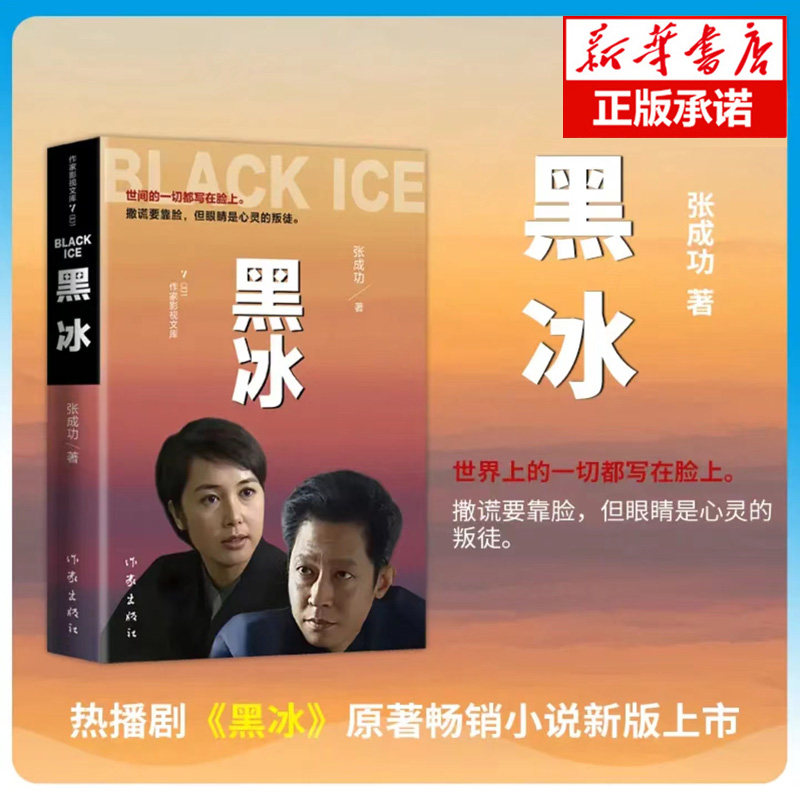 【认准正版】黑冰 电视剧原版原著小说书籍 世间的一切都写在脸上
