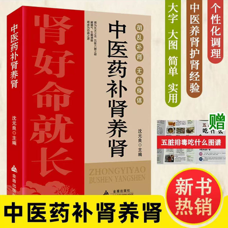 中医药补肾养肾 肾好不衰老饮食食谱药膳按摩推拿穴位图预防肾结石肾炎阳痿尿毒症痛风养肾补肾书籍中药材壮阳补肾中医养生大全书
