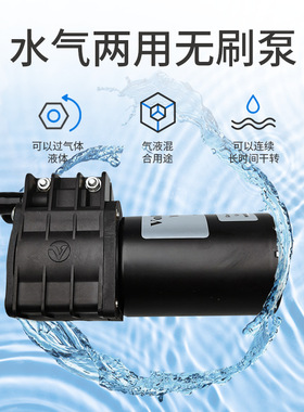 威尔特VDP160SP2微型直流无刷水泵长寿命24V设备耐腐蚀蠕动泵