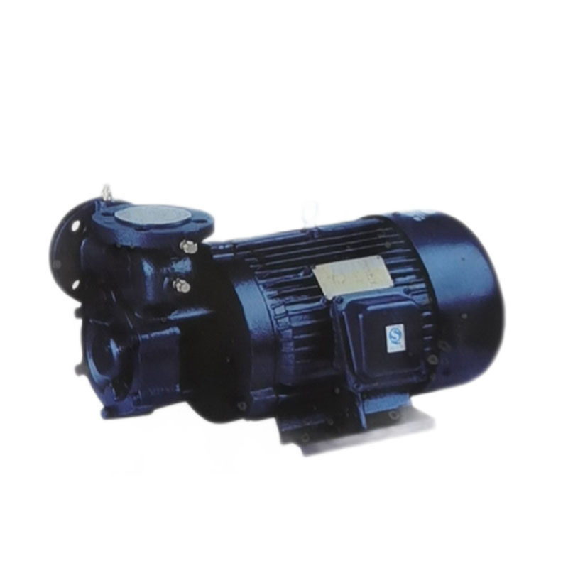 定制浪扬W型高扬程单级悬臂式漩涡泵增压泵高压泵75KW自吸锅炉泵