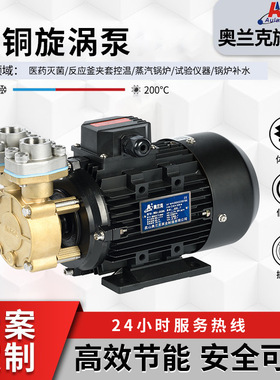 WD-07-120 微型热水泵  小型热水旋涡泵