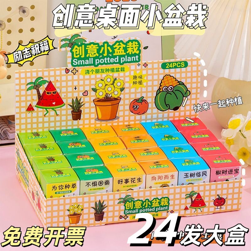 桌面种植小盆栽学生盲盒儿童DIY