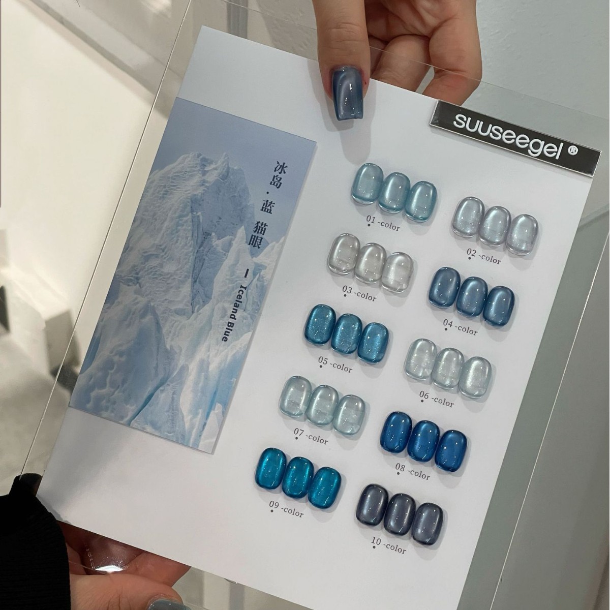 束色10色冰岛蓝猫美博会新品