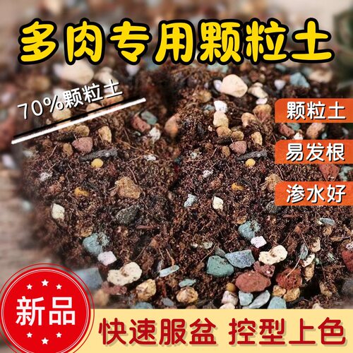 多肉土营养土肉肉颗粒土植物种植土铺面石叶插家用通用型大包
