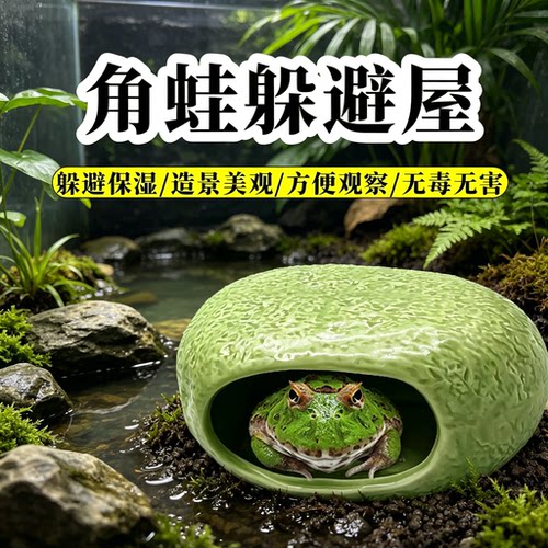 大号生态角蛙躲避屋树