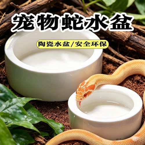 宠物蛇水盆食盆泡澡盆陶瓷爬宠碗