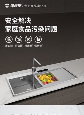 保食安 洗菜机 果蔬清洗净化机 水槽机 BSA-C602S（无水龙头)