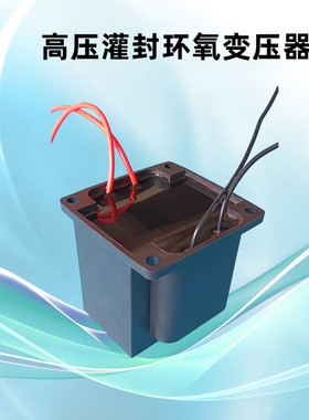 灌封环氧式高压变压器220V1000V1500V2000V2500V3000V20W50W80W