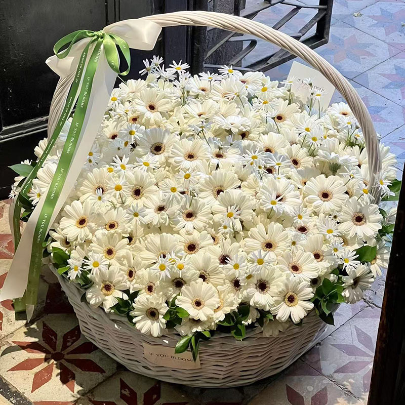 【小时达】弗朗非洲菊生日花篮鲜花速递同城送女友礼物广州北京