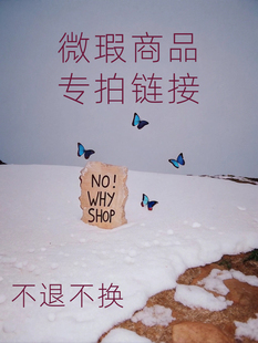 shop·歪店瑕疵清仓专拍链接不退不换介意勿拍 why