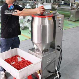 腾昇红50商HUT用果汁机 工厂用果蔬胡萝卜升西柿汁机 榨大产量出