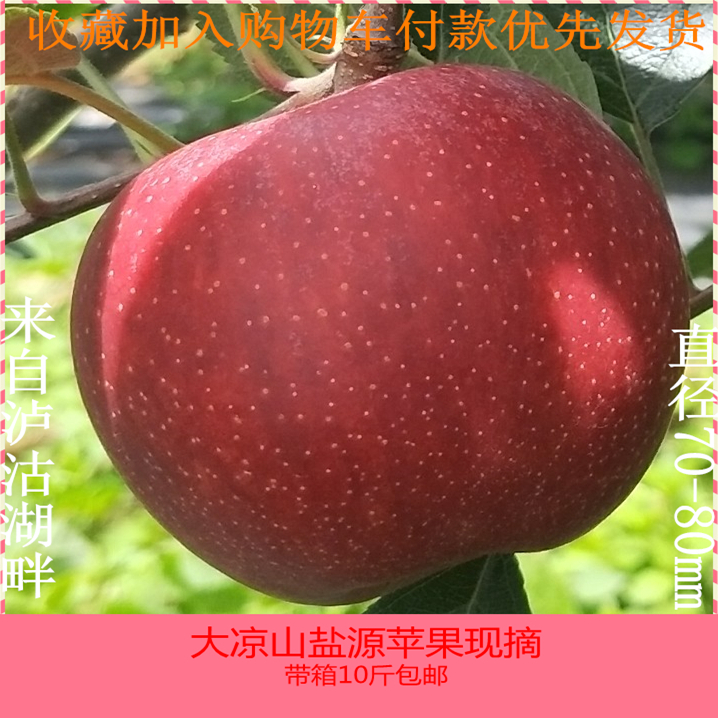 大凉山盐源新鲜苹果水果当季红嘎啦现摘带箱10斤非红将军富士苹果