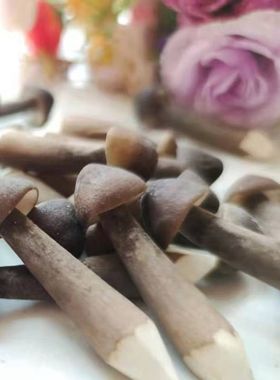 新鲜鸡枞菌野生荔枝菌500g农家自种现摘菌菇食用鸡枞菌满2斤包邮