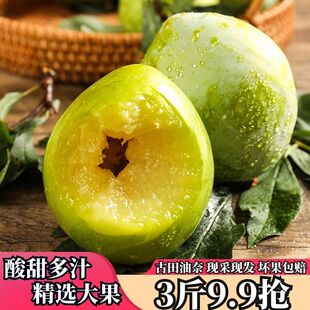 福建古田油奈桃形奈李青柰李脱骨李子孕妇应季新鲜当季水果5斤装