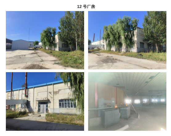 1月24日大庆工业园11号、12号综合楼及厂房、两处工业用地及其他地上建筑物、附属设施网络拍卖公告