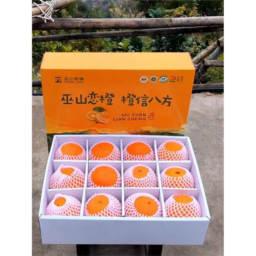 礼盒自家果园重庆巫山曲尺恋橙子纽荷尔带叶现摘新鲜脐橙,水产肉类/新鲜蔬果/熟食,橙,淘宝优惠券,粉丝福利购,淘宝优惠卷