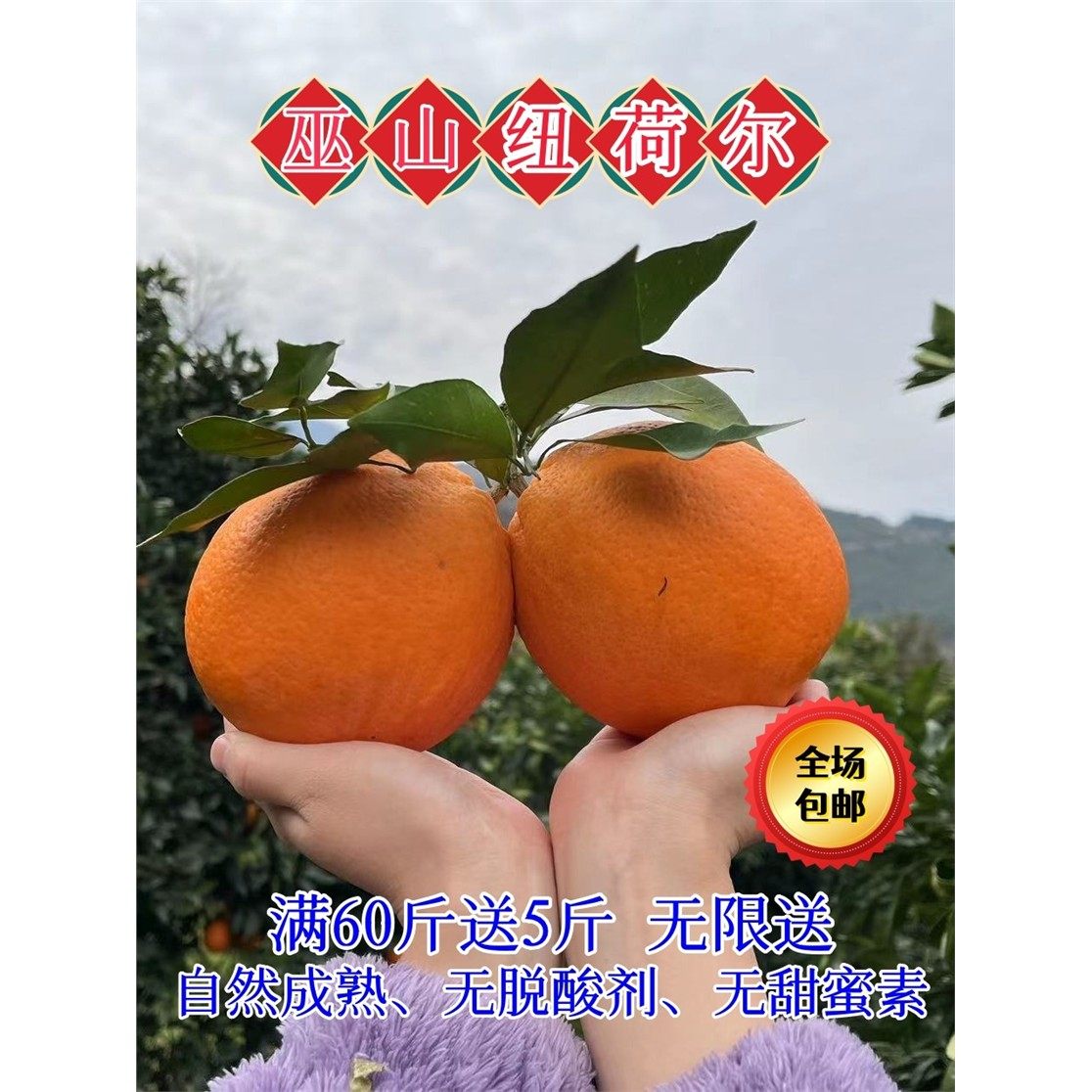 【现摘现发】巫山纽荷尔脐橙新鲜当季水果甜橙子孕妇儿童可食包邮,水产肉类/新鲜蔬果/熟食,橙,淘宝优惠券,粉丝福利购,淘宝优惠卷