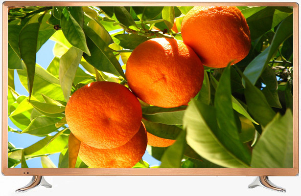 Advertising vertical display 42 50 55 inch LED high definition Online Floor type advertisement Integrated machinein the Computer Hardware/Monitor/Computer Peripherals , Monitor  category - from Buy2taobao.com to provide professional Taobao agent buy service