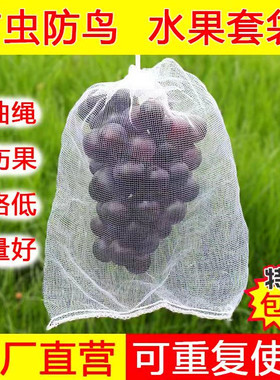 水果葡萄套袋防鸟防虫纱网袋子透气防果蝇套树苗枇杷果树白色网袋