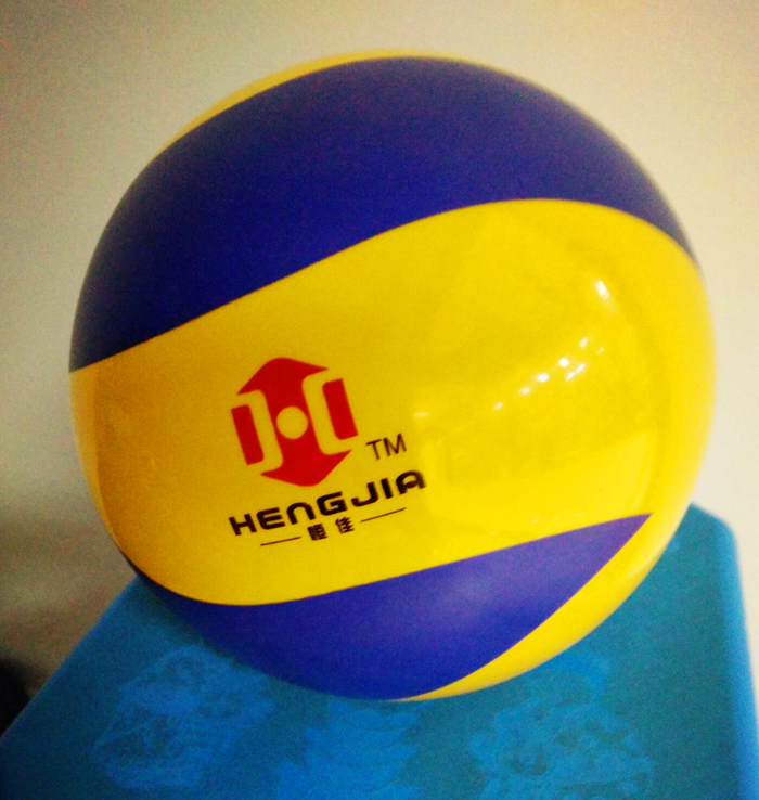 Ballon de volley-ball - Ref 2012337 Image 3