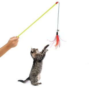 猫咪玩具彩色羽毛逗猫棒神器响声铃铛球趣味鸡毛逗猫杆弹性钓猫棒