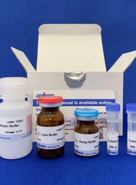 AS ONE 生命科学分析食品检查细胞生物学试剂Caspase-3检测试剂盒