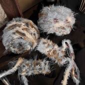 Dengd 豆乳沙茶 手混线邓邓围巾毛线帽子皮草线手工DIY钩编织线团