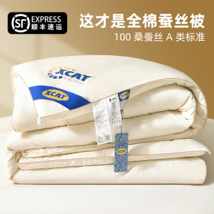 蚕丝被100桑蚕丝春秋被正品 出口A 夏凉被子空调被芯单双人棉冬被