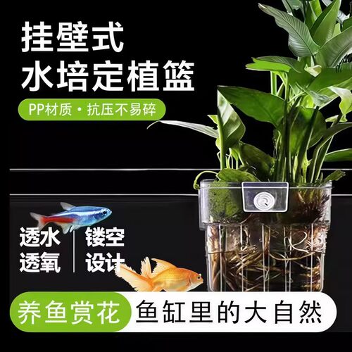 镂空花盆水培鱼缸水培定植篮水草种植杯壁挂式加厚家用透明水培篮