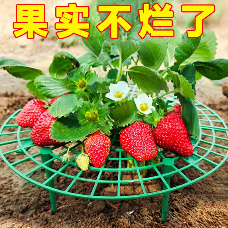 家庭种植草莓托盘架绿植防倒伏植物果实支撑草莓支撑架子园艺用品