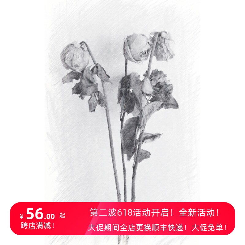 落日酒馆 致意克尔苏加德 凋零 枯萎玫瑰皮革白兰地 香水 2021/10